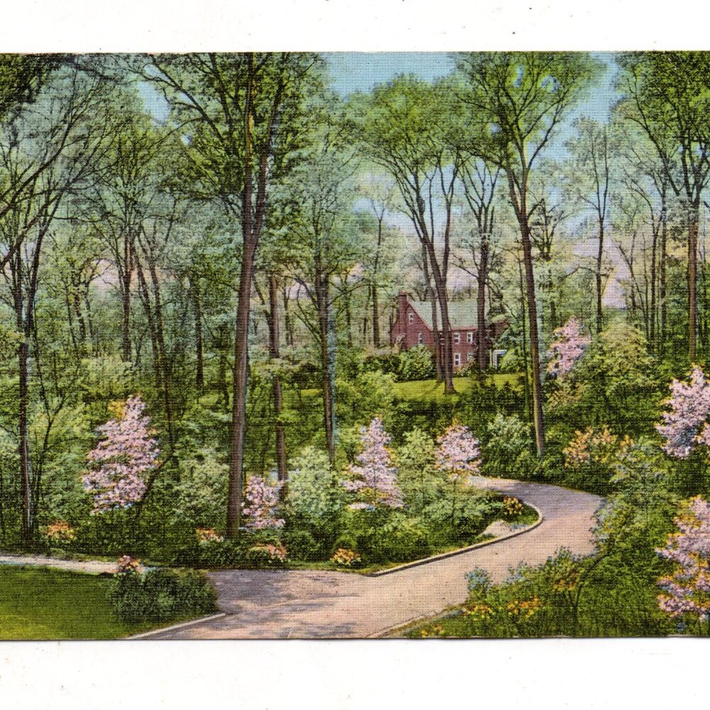 Vintage Postcard - Kingston Pike - Knoxville TN  1941